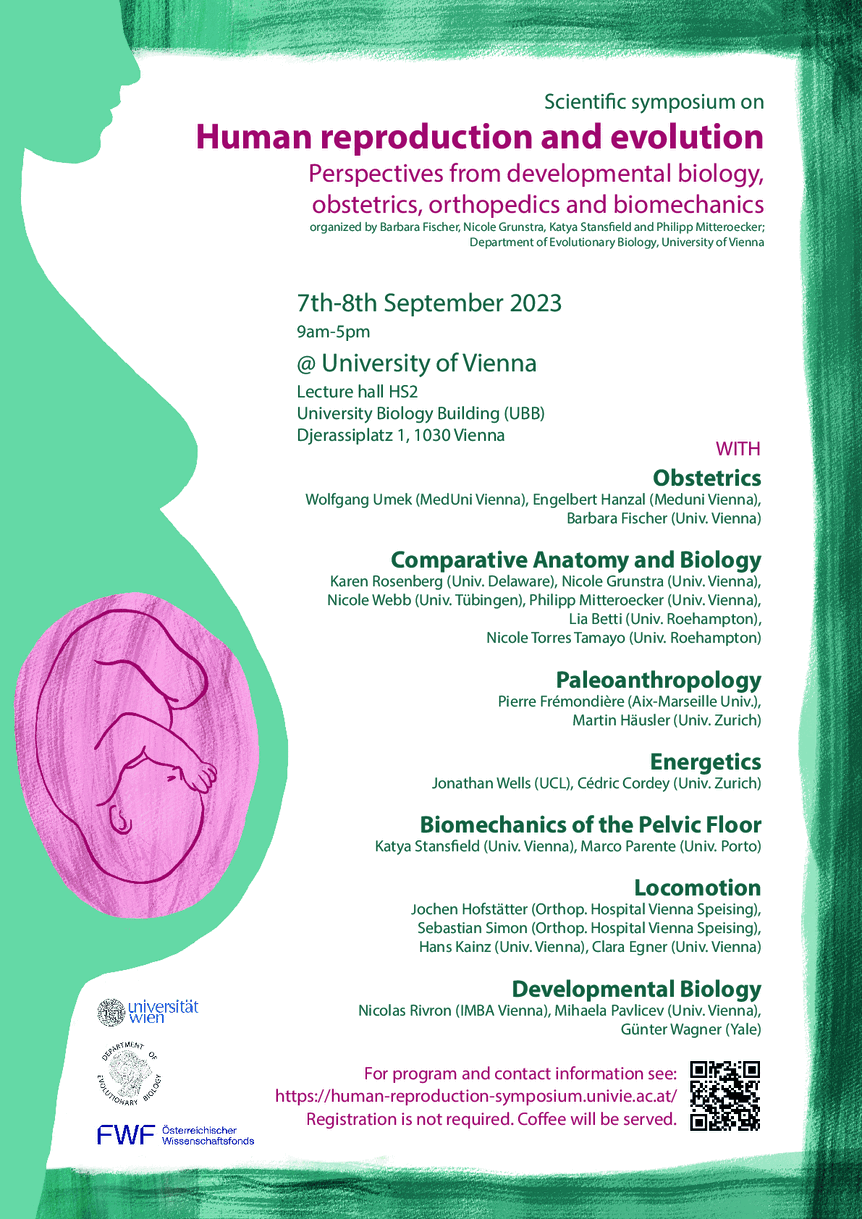 Poster of the symposium. 

On the left, turquoise silhouette of a pregnant woman seen from profile with a pink oval figuring the uterus, in which a baby is drawn head down. The rest has a turquoise border. At the bottom, there is a QR to the website of the symposium on the right, and three logos on the left (University of Vienna, Department of Evolutionary Biology, FWF). 
Inside, information about the symposium is written: 

Scientific symposium on Human reproduction and evolution: Perspectives from developmental biology, obstetrics, orthopedics and biomechanics; 
organized by Barbara Fischer, Nicole Grunstra, Katya Stansfield and Philipp Mitteroecker;
Department of Evolutionary Biology, University of Vienna. 

7th-8th September 2023
@ University of Vienna
9am-5pm
Lecture hall HS2
University Biology Building (UBB)
Djerassiplatz 1, 1030 Vienna

With

Obstetrics
Wolfgang Umek (MedUni Vienna), Engelbert Hanzal (Meduni Vienna), Barbara Fischer (Univ. Vienna)

Comparative Anatomy and Biology
Karen Rosenberg (Univ. Delaware), Nicole Grunstra (Univ. Vienna), Nicole Webb (Univ. Tübingen), Philipp Mitteroecker, (Univ. Vienna), Lia Betti (Univ. Roehampton) Nicole Torres Tamayo (Univ. Roehampton)

Paleoanthropology
Pierre Frémondière (Aix-Marseille Univ.), Martin Häusler (Univ. Zurich)

Energetics
Jonathan Wells (UCL), Cédric Cordey (Univ. Zurich)

Biomechanics of the Pelvic Floor
Katya Stansfield (Univ. Vienna), Marco Parente (Univ. Porto)

Locomotion
Jochen Hofstätter (Orthop. Hospital Vienna Speising), Sebastian Simon (Orthop. Hospital Vienna Speising), Hans Kainz (Univ. Vienna), Clara Egner (Univ. Vienna)

Developmental Biology
Nicolas Rivron (IMBA Vienna), Mihaela Pavlicev (Univ. Vienna), Günter Wagner (Yale)

For program and contact information see: 
https://human-reproduction-symposium.univie.ac.at/
Registration is not required. Coffee will be served.